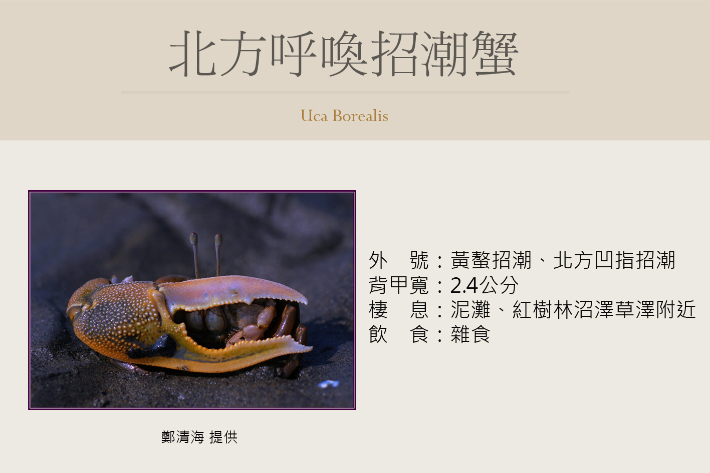 圖片說明