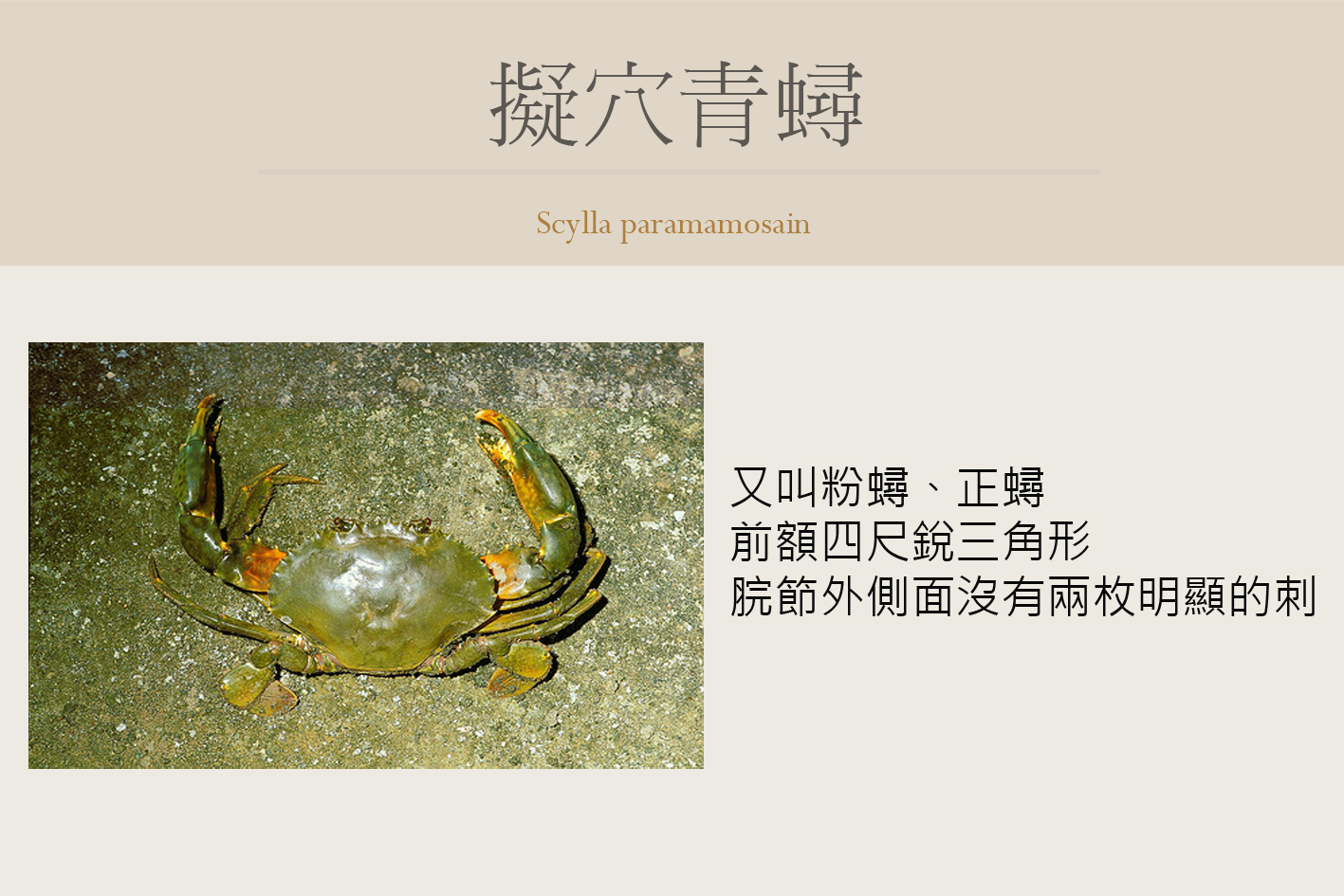 圖片說明