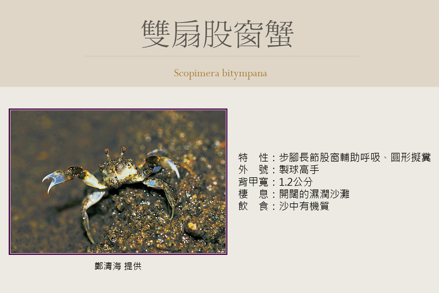 圖片說明