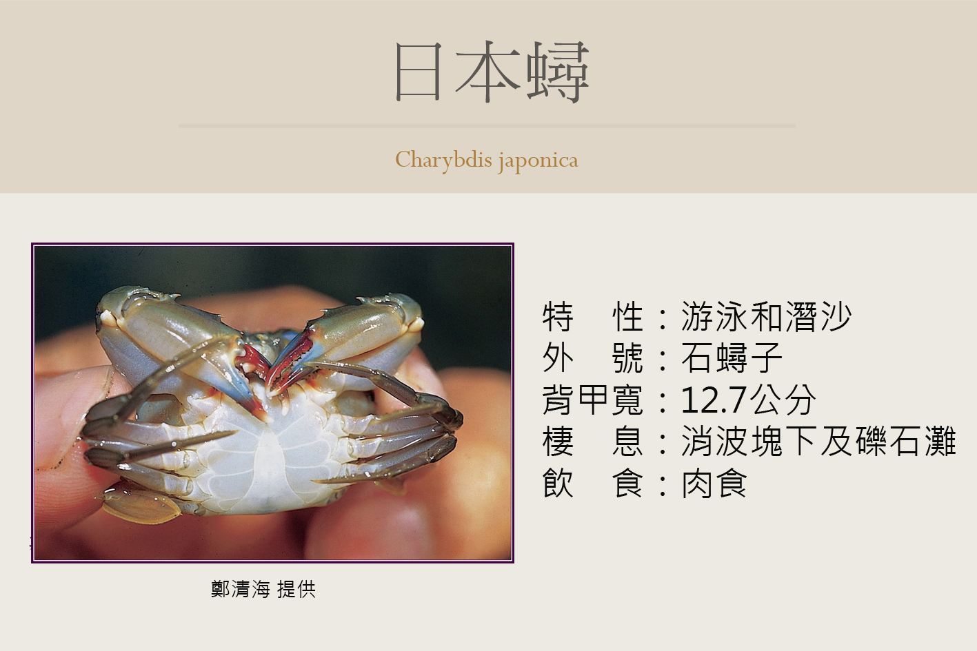 圖片說明