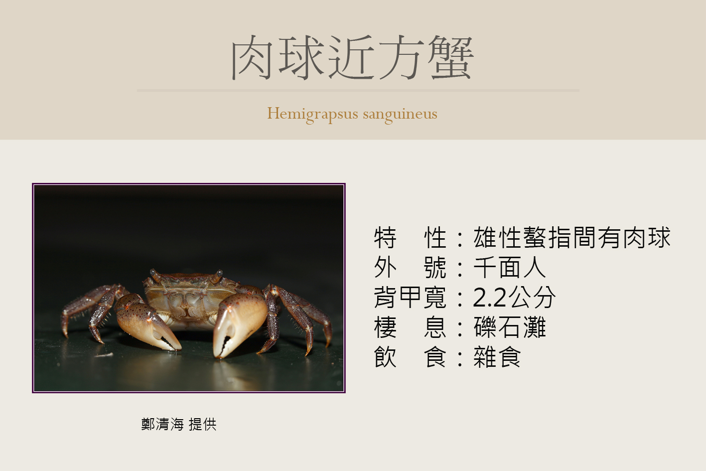 圖片說明