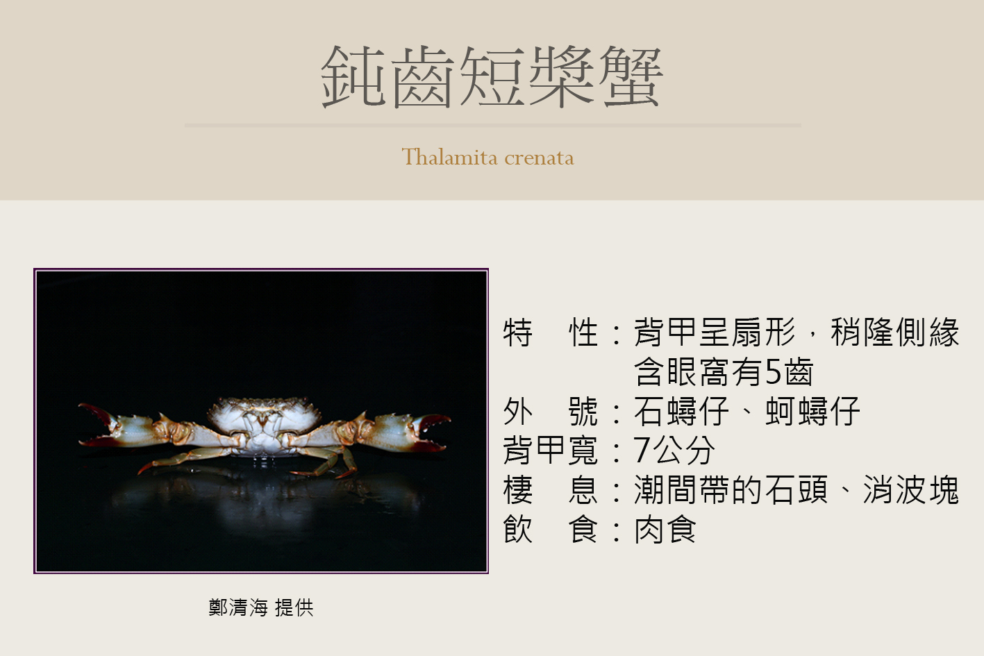圖片說明